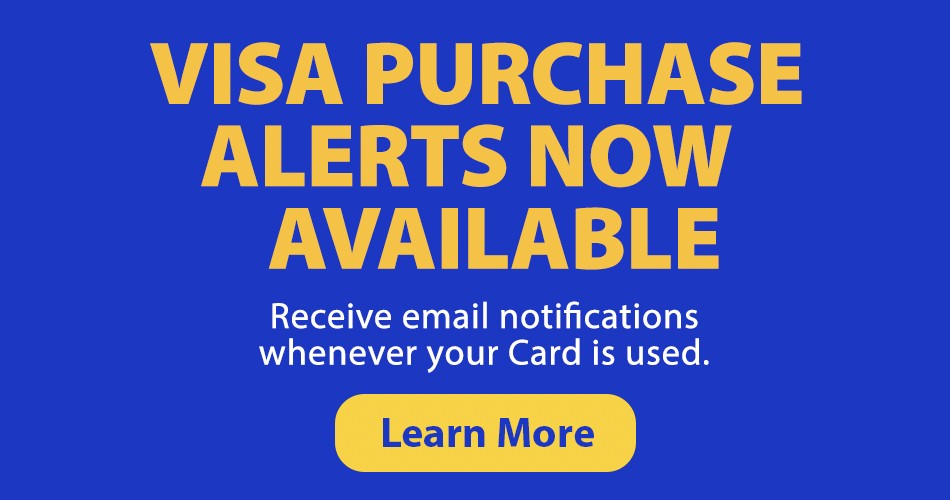 VISA Purchase Alerts